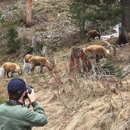 - Chesa Andrea - Gartensitzplatz Appartamento *