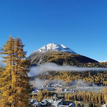 Apartamento - Chesa Andrea - Gartensitzplatz Pontresina