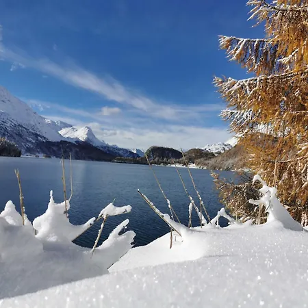 - Chesa Andrea - Gartensitzplatz Pontresina