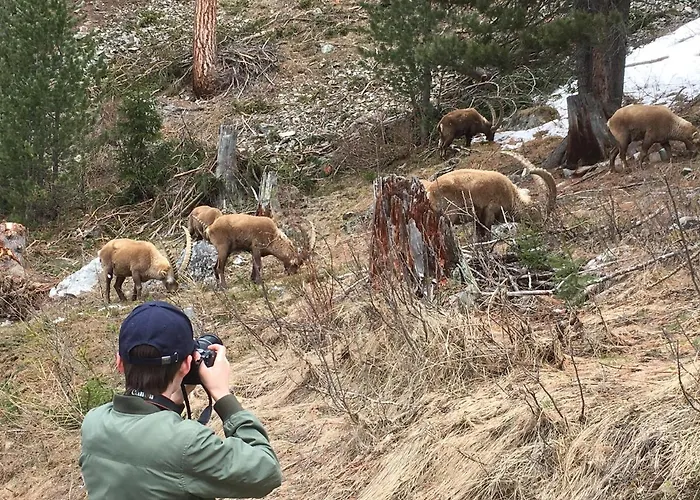 - Chesa Andrea - Gartensitzplatz Lägenhet *