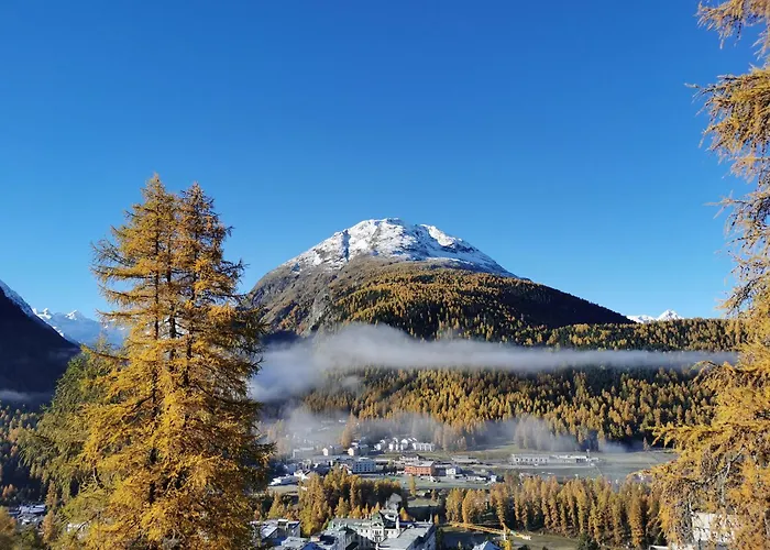 Appartement - Chesa Andrea - Gartensitzplatz Pontresina