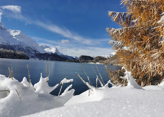 - Chesa Andrea - Gartensitzplatz Pontresina